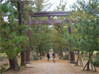 三の鳥居「松の参道の鳥居」